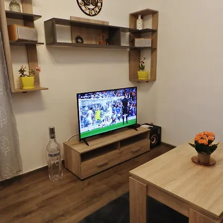 Central Apartment